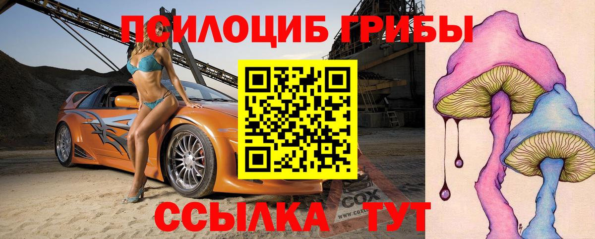 наркотики  Вход с VPN  Михайловск  Псилоцибиновые грибы мухоморы 
