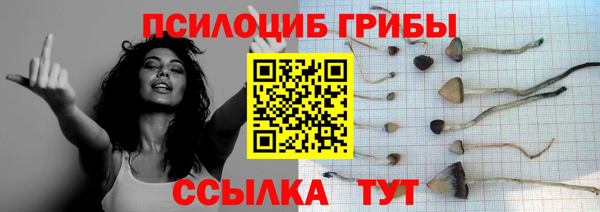 Галлюциногенные грибы MAGIC MUSHROOMS Михайловск