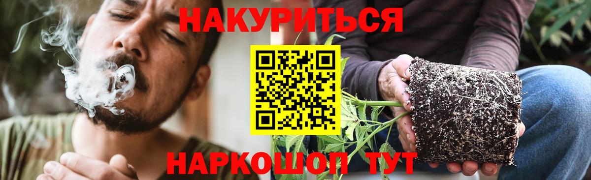 Михайловск  Каннабис ГИДРОПОН  Бошки марихуана Ganja  Вход с VPN 